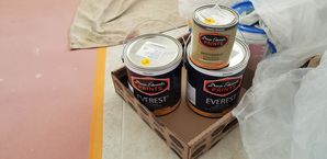 Painting in Tucson, AZ (4)